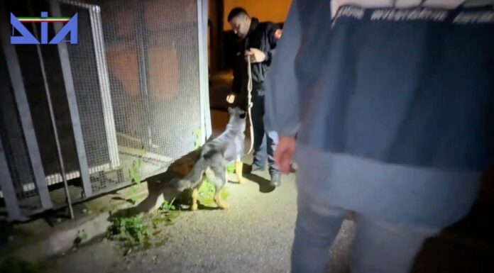 Dieci arresti nel Salernitano per scambio elettorale politico mafioso