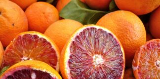 L’Arancia Rossa di Sicilia IGP finisce sui banchi di scuola