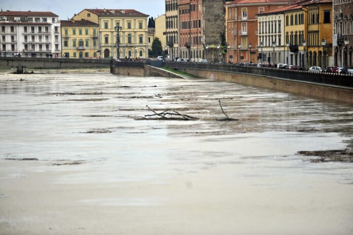 Arno (1)