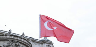 Turchia, multe ad aziende di calzature “prodotte con pelle di maiale”