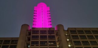 Emilia-Romagna, la torre dell’Assemblea legislativa si illumina di viola per la Giornata della lotta al papilloma virus