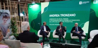 Guidesi convoca una cabina economica per salvare l’Automotive