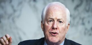 Caso Signal, senatore comitato intelligence Senato “Dovranno esserci ulteriori indagini”