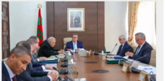 Morocco, 5 consortia to invest $31 billion in green hydrogen