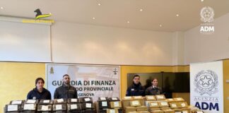 Droga, sequestrati al Porto di Genova 240 kg di cocaina