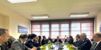 Emergenza lupi nel vicentino, sindaci a Roma “Risposta tempestiva”