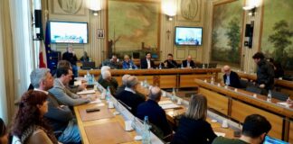 Incontro sulla peste suina, a Reggio Emilia il punto sull’emergenza