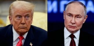 Cremlino “Ancora nessun accordo tra Putin e Trump su un incontro con Zelensky”