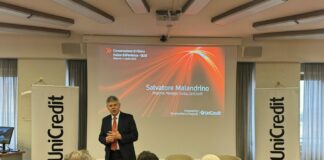 Sicilia tra le principali regioni italiane per produzione olio d’oliva