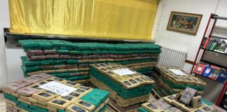 Cocaina dal Sud America, maxi sequestro al porto di Livorno