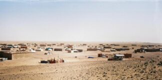 Campi Tindouf, associazione Sahrawi “Esercito Algeria attacca civili”