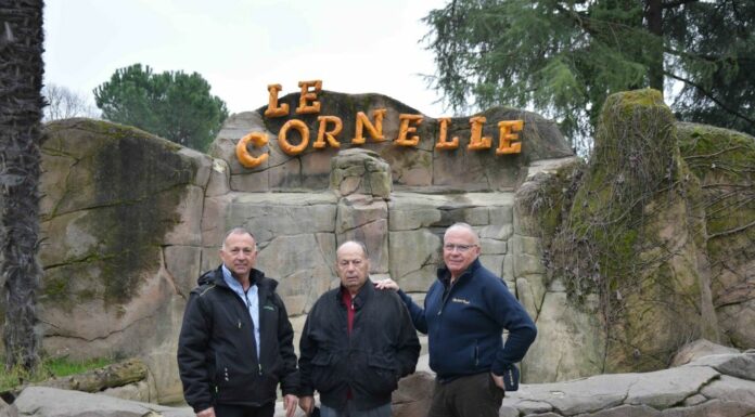 Gruppo Sant’Eleonora 1924, obiettivo fatturato 37 milioni entro il 2025