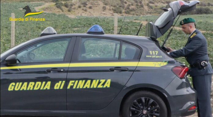 Sequestrate opere d’arte contraffatte esposte in un museo a Roma