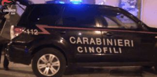 Detenzione e spaccio di eroina, 7 arresti ad Altamura