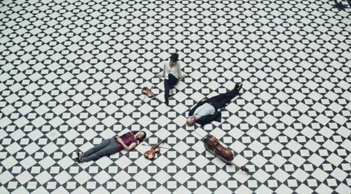 Al Teatro Toniolo di Mestre in scena il “Trio Boccherini” in concerto