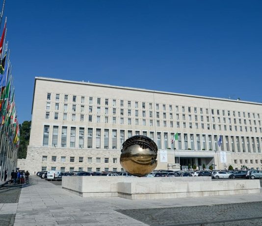 Farnesina, Italia eletta nel Comitato Esecutivo di Interpol per il 2025-2028