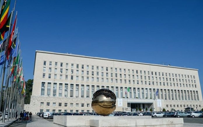 Farnesina (1)