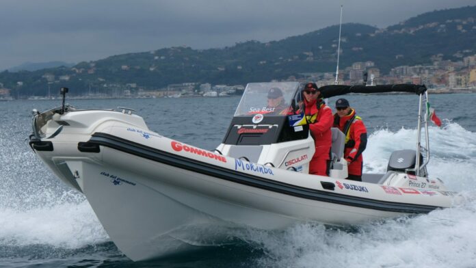 GOMMONE SUZUKI