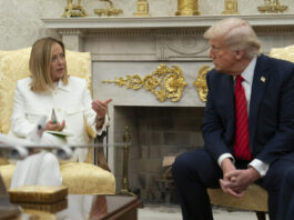 Board of Peace “On the rocks”