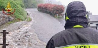 Maltempo in Lombardia, alberi caduti e allagamenti