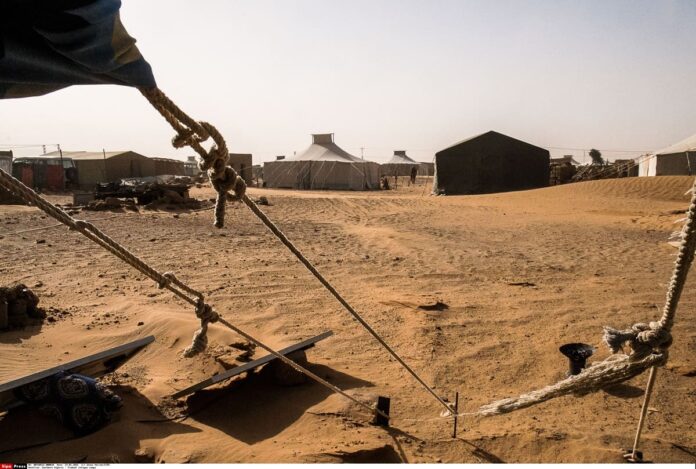 Sahara-occidentale (1)