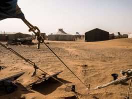 Sahara, il Fronte Polisario attacca de Mistura alla vigilia del voto Onu