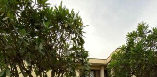 Da SIMEST nuove iniziative per la cooperazione Italia-India