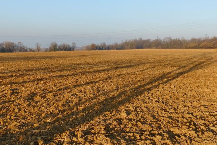 Terreno-agricolo (1)