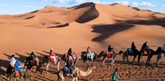 المغرب يسجل 4 ملايين سائح في الربع الأول من العام