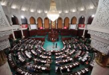 La Tunisia presenta la nuova strategia nazionale 2026-2030 per lo sviluppo dell’agricoltura biologica