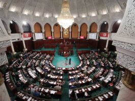 La Tunisia presenta la nuova strategia nazionale 2026-2030 per lo sviluppo dell’agricoltura biologica