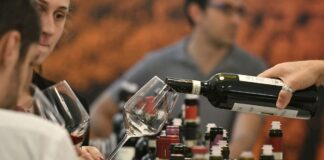 Vinitaly, il Padiglione Lombardia celebra l’eccellenza dei suoi vini
