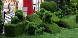 Piazza Città e Palazzo della Regione protagonisti della Design Week