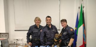 A Milano sequestrati 7 kg di marijuana nascosta in un orto