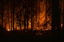 Rinnovata l’intesa tra Regione Liguria e Vigili del Fuoco per il contrasto agli incendi boschivi