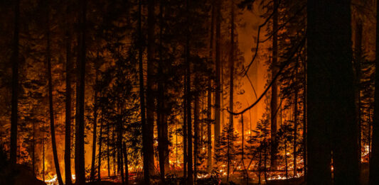 Rinnovata l’intesa tra Regione Liguria e Vigili del Fuoco per il contrasto agli incendi boschivi