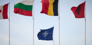 Nato, esercitazione di capacità congiunte come risposta ai cyber attacchi