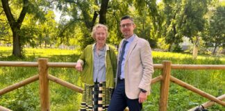 A Milano raddoppiano le aree a sfalcio ridotto e i prati fioriti