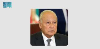 أبو الغيط يعرب عن دعم الأردن في مواجهة مخططات الفوضى والتخريب