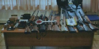 Sequestrati nel ragusano 500 kg di carne di cinghiale a dei bracconieri maltesi