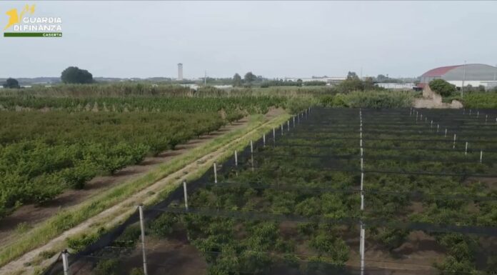 Caserta, frodi in finanziamenti Ue. 12 arresti e sequestri per 9,5 mln