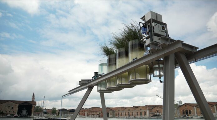 Biennale Architettura, l’impegno di Webuild contro l’emergenza idrica