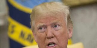 Ucraina, Trump “Parlerò al telefono con Putin lunedì, poi con Zelensky”