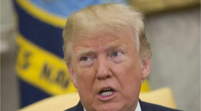 Ucraina, Trump “Parlerò al telefono con Putin lunedì, poi con Zelensky”