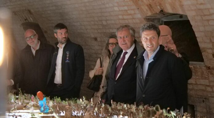 Inaugurato “Margherissima”, un progetto speciale per la biennale d’architettura