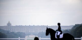 Equitazione, Valentina Truppa “A disposizione delle nuove generazioni”