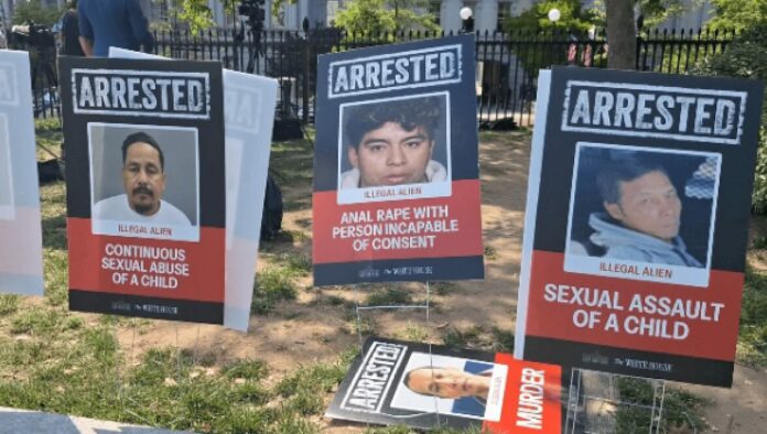 Foto-segnaletiche (1)