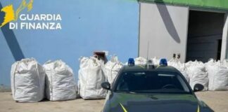Sequestrate nel sassarese 3,7 tonnellate di cannabis
