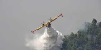 Campagna antincendio della Regione Siciliana, Schifani “Salvaguardia ambiente priorità assoluta”