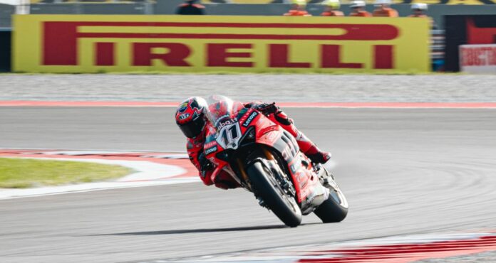 Nicolò Bulega Superbike